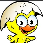 Team_Chicko