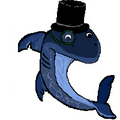 elegant sharks